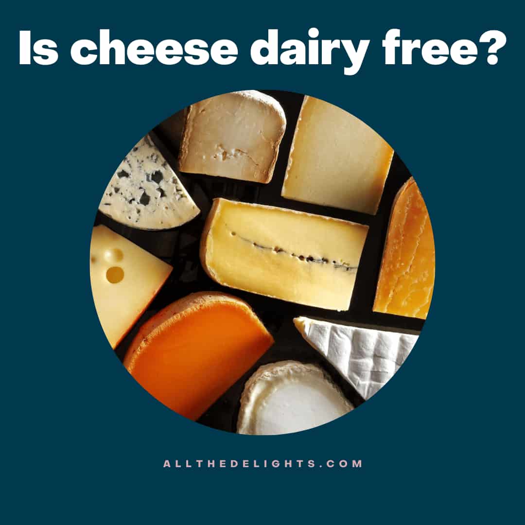 Is cheese dairy free?