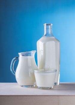 Tips to Avoid Lactose & Dairy in Your Diet