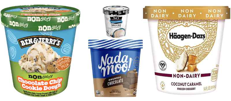 Best Dairy-Free Ice Cream Brands