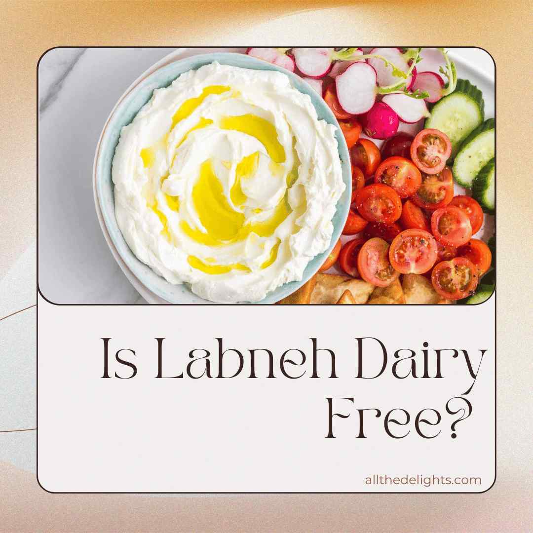 Is Labneh Dairy Free?