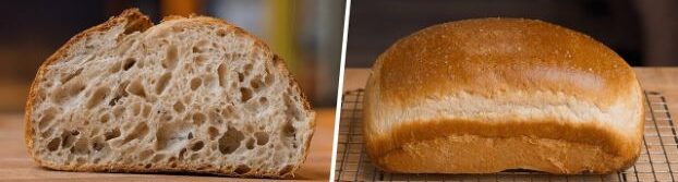 Yeast vs. Sourdough Starter